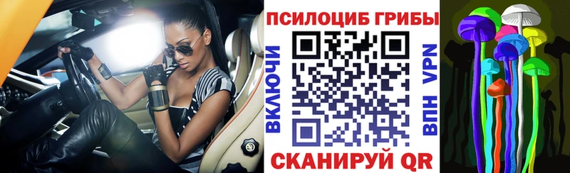 Галлюциногенные грибы GOLDEN TEACHER  Купить закладки  Воронеж 